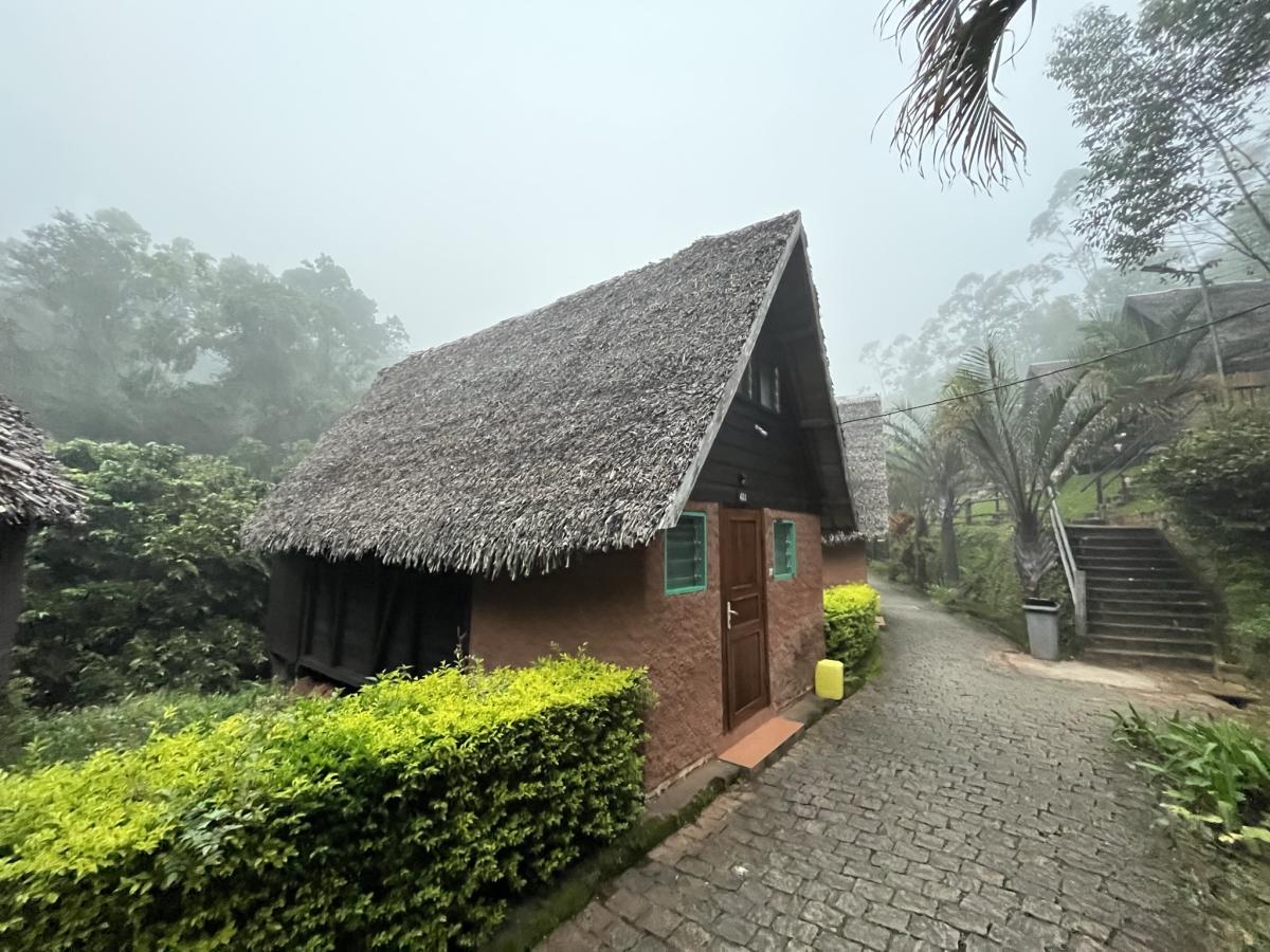 Park Analamazaotra