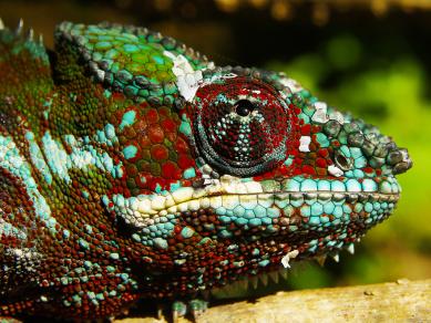 skupina-fauna-5.jpg